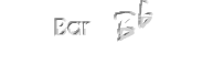 Polished Logo